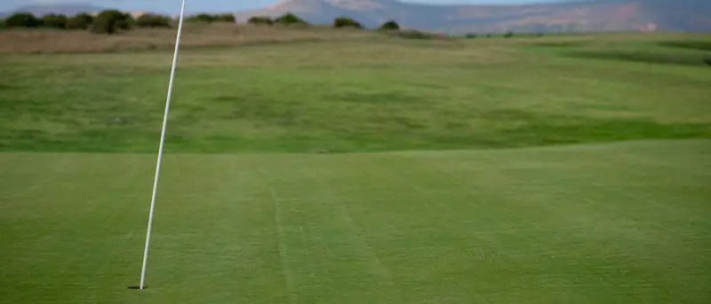 The flag on the green